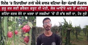 ਵਿਦੇਸ਼ ‘ਚ ਦਿਹਾੜੀਆਂ ਨਾਲੋਂ ਐਥੇ ਮਾਲਕ ਬਣਿਆ ਬੈਠਾ ਪੰਜਾਬੀ ਨੌਜਵਾਨ, ਸ਼ੁਰੂ ਕਰ ਲਈ ਡਰੈਗਨ ਫਰੂਟ ਦੀ ਖੇਤੀ
