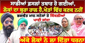 ਸਾਡੀਆਂ ਫ਼ਸਲਾਂ ਤਬਾਹ ਹੋ ਗਈਆਂ, ਲੋਕਾਂ ਦਾ ਬੁਰਾ ਹਾਲ ਹੈ,ਖੇਤਾਂ ਵਿੱਚ ਕਣਕ ਨਹੀਂ, ਢੋਲਾਂ ਵਿੱਚ ਦਾਣੇ ਨਹੀਂ,